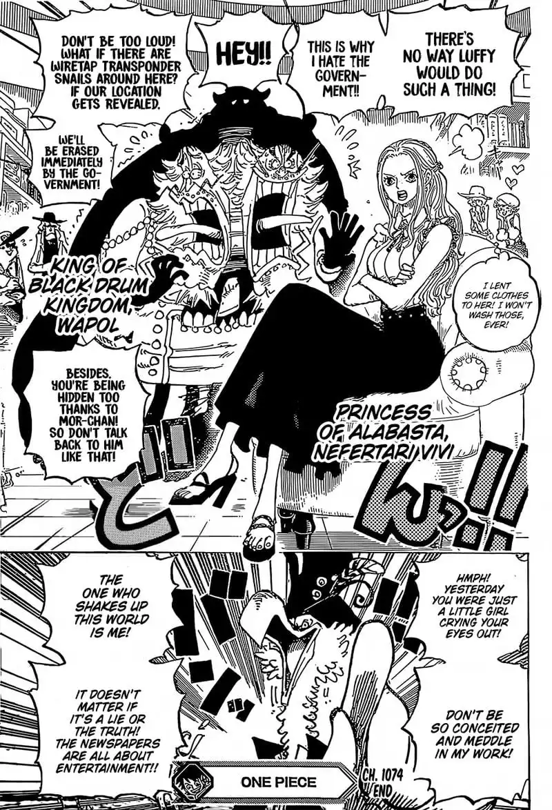 One Piece Chapter 1074 16